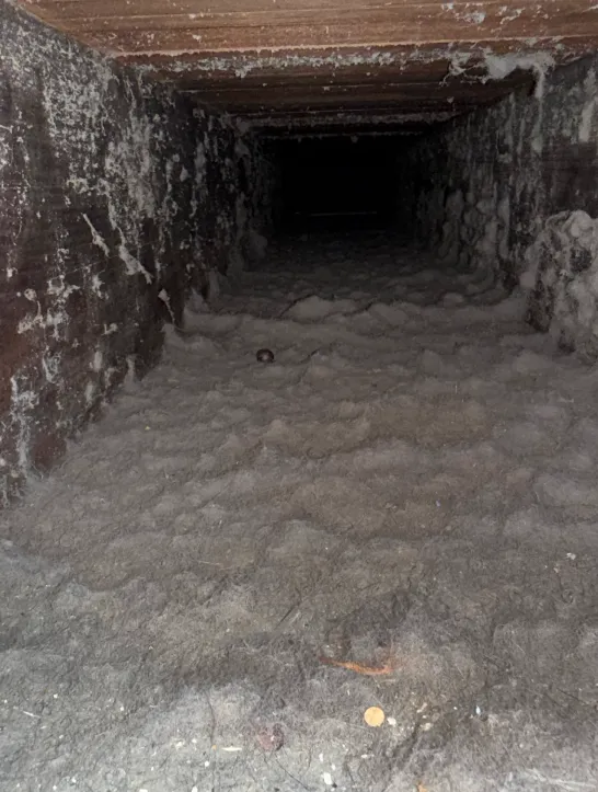 Dryer Vent Cleaning 1