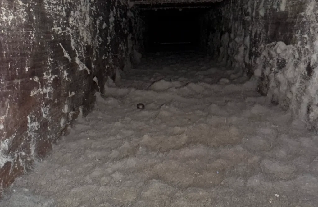Dryer Vent Cleaning